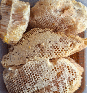 Jangli Beri Honey