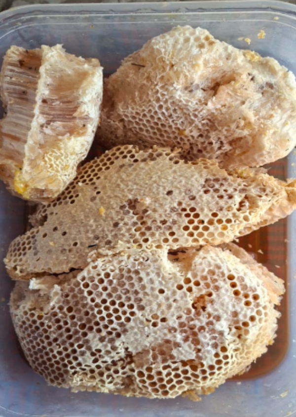 Jangli Beri Honey